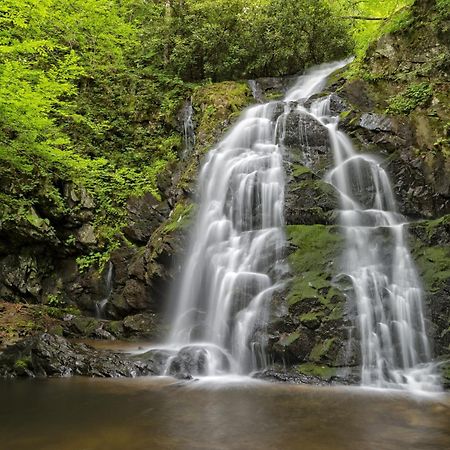 Mountain Eden, Hot Tub, Resort Pool, Wifi, 1089 Free Tickets Each Paid Day, Dollywood And More 蓋特林堡 外观 照片