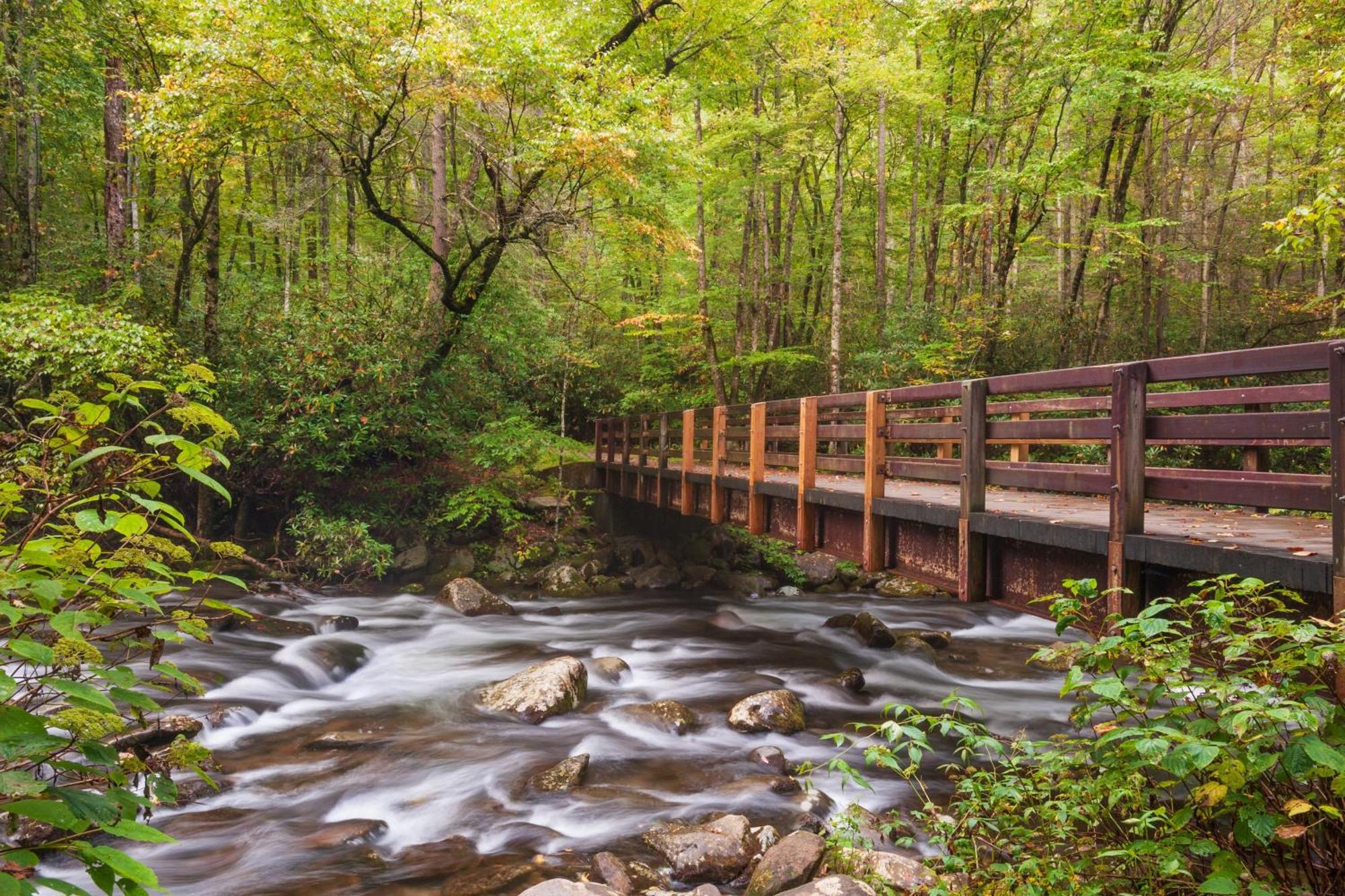 Mountain Eden, Hot Tub, Resort Pool, Wifi, 1089 Free Tickets Each Paid Day, Dollywood And More 蓋特林堡 外观 照片