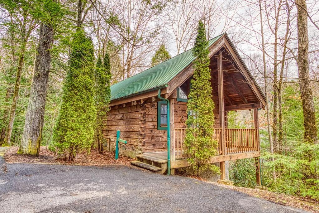 Mountain Eden, Hot Tub, Resort Pool, Wifi, 1089 Free Tickets Each Paid Day, Dollywood And More 蓋特林堡 外观 照片